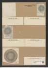 Aulacodiscus probabilis A. Schm. (de-Toni-Nr.: Genus 182, Species 4492) Zeichnungen Sammlung Grunow Nr. 8054 (NHMW-BOT-W0377368)